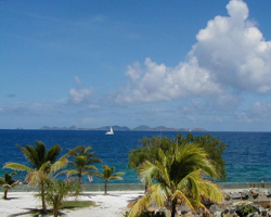 prospect reef