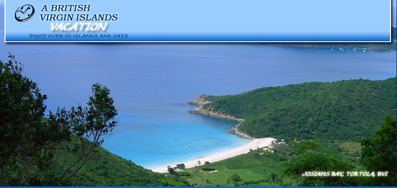 car rental