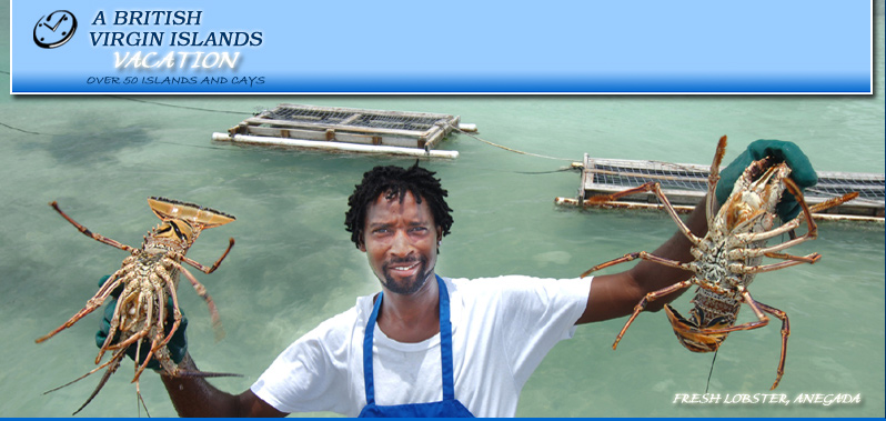 Anegada-Lobster-fishing-guides-tours-BVI