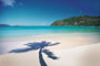 Coconunt shadow at Cane Garden Bay Tortola British Virgin Islands
