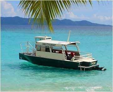 Dolphin Shuttle Watertaxi BVI USVI