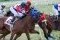 Bvi horse racing - Ellis Down track