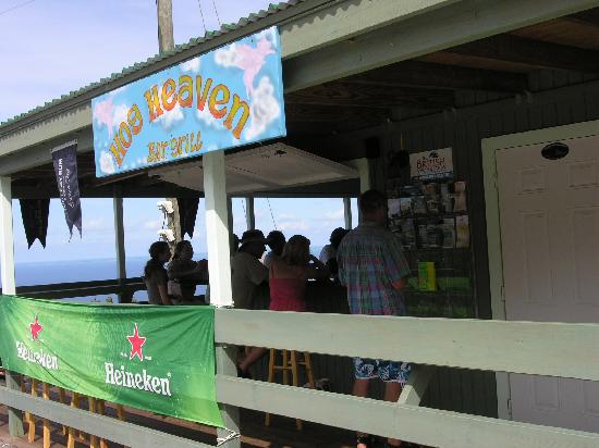 hog heaven virgin gorda bvi