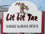 lit bit taz anegada