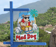 Mad Dog Virgin Gorda BVI